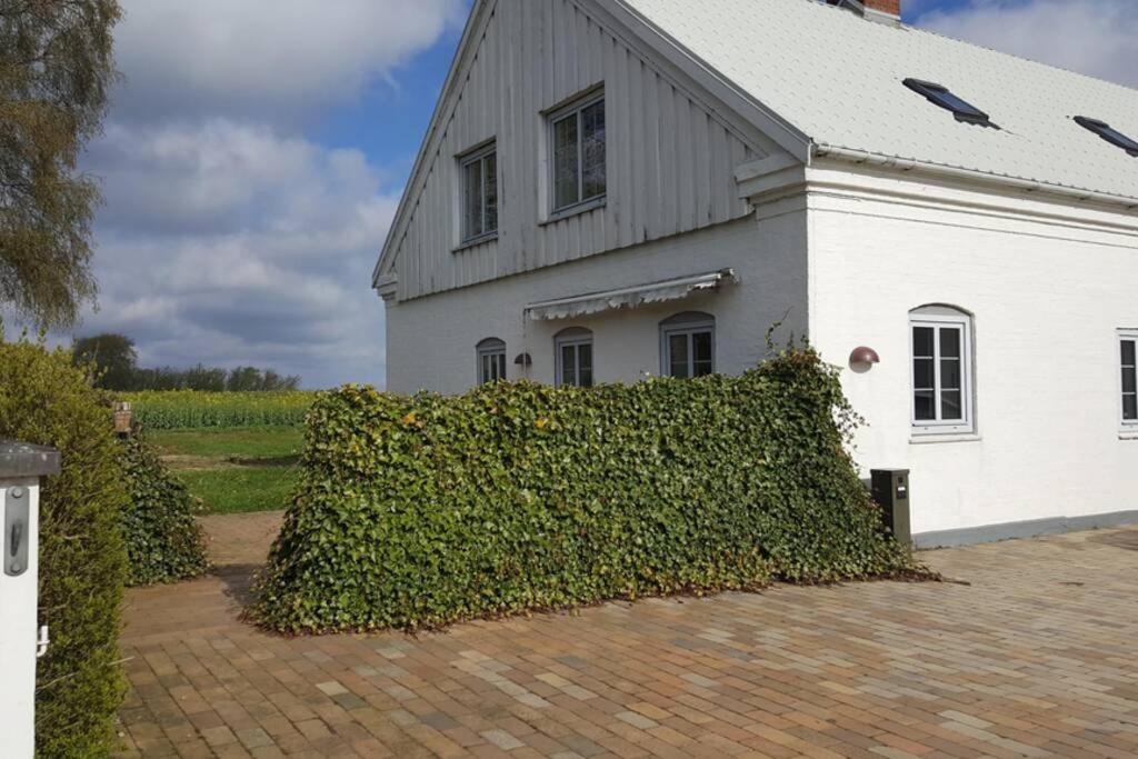 Big House In The Countryside Near Unesco City クリスチャンスフェルド エクステリア 写真